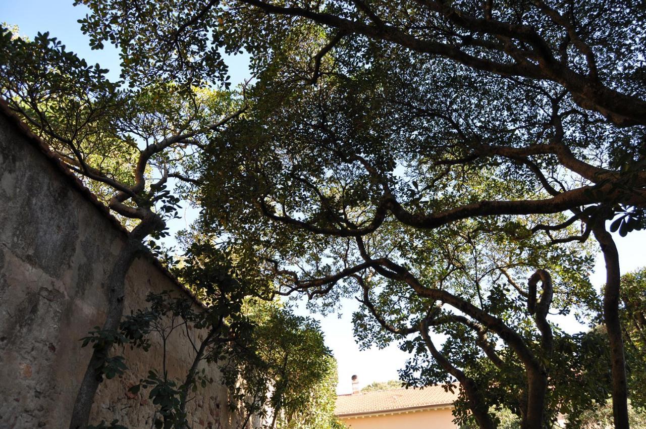 Villa Salvini Marina Di Pisa Εξωτερικό φωτογραφία