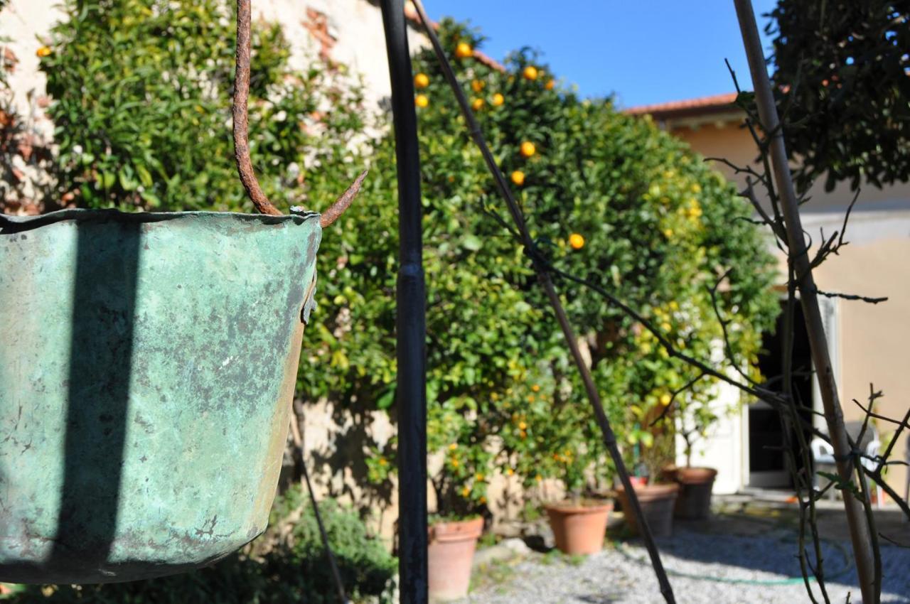 Villa Salvini Marina Di Pisa Εξωτερικό φωτογραφία